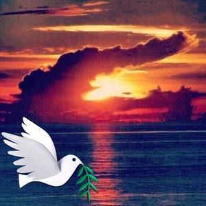 Meet your Posher, Ingrid